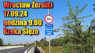 Rzeka Ślęza Wrocław 17092024 powódź  Most Żernicki [upl. by Nagram563]