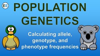 Biology Chapter 24 Evolution lecture No13 hardy Weinberg theorem [upl. by Deeraf]