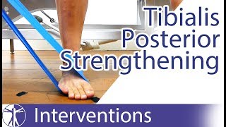 Tibialis Posterior Strengthening  Flat Feet Exercise [upl. by Eiffub]