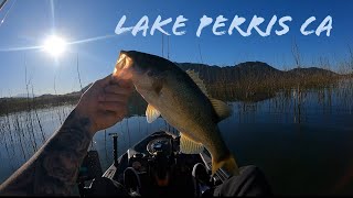 Largemouth Bass  Lake Perris CA [upl. by Aderfla309]