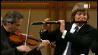 Bach Brandenburg 5 1movement Abbado [upl. by Acinorehs]