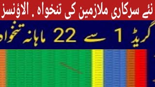 Pay and Allowances Salary New Appointed govt Employees 2023 24 Pakistan  rental celling details [upl. by Ralf]