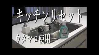 【キッチンリセット】ウタマロクリーナー使用 食器を洗う動画 [upl. by Aivalf]