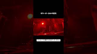 ワウペダル大好き系ギターボーカルの足元 ライブ ギター オリジナル曲 ギターボーカル [upl. by Longawa]