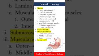 Stomach histology [upl. by Rachel]