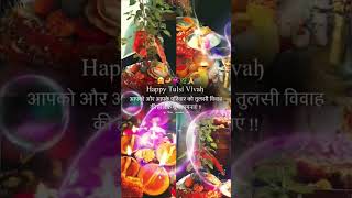 Tulasi Pujan shorts viralvideo [upl. by Vashtia366]