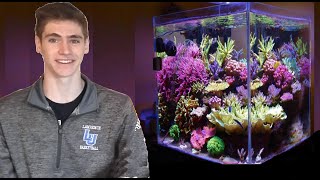 How To Set Up a Nano Reef in 5 Minutes [upl. by Enoid415]