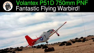 Fantastic Flying Warbird amp Great Power  Volantex P51D Mustang Red Tail 750mm Wingspan Warbird PNF [upl. by Lleumas]