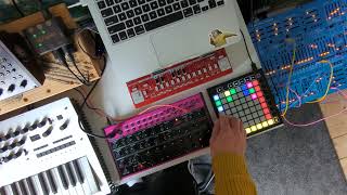 Braindance Electro Jam  Korg Minilogue  Behringer K2  2600 Blue Marvin  Edge [upl. by Solley]