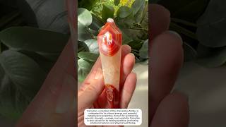 carnelian wand d  crystal if interested click bio crystalelements crystalcommunity crystals￼ [upl. by Eceela]