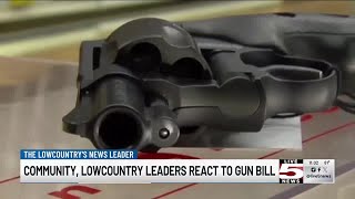 VIDEO Some Lowcountry community members raise concern over ‘Constitutional carry’ bill [upl. by Ecnerat595]