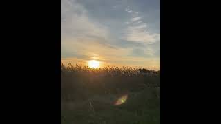 Stunning Camargue sunset sailing frenchriver travel boating europe boatlife harbour [upl. by Notaek258]