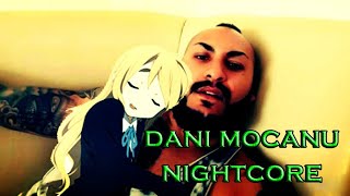 Dani Mocanu  Afaceri Ilegale NIGHTCORE â–â–¬â– â– â–€â–â–€ 2023 [upl. by Goldenberg]