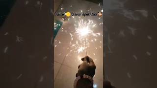 Colourful Sparklers 🎇🎆Diwali Crackers 🧨l Unique Crackers l Fireworks l Diwali Special Part 1diwali [upl. by Yak]