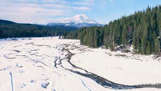 Giant Winter Brown Trout Fly Fishing NorCal [upl. by Yespmed929]