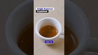 Single Espresso Shot Explained in the Specialty Cafe barista recipe amp technique [upl. by Aihsel]