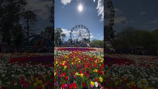 Floriade in Canberra ACT Australia canberra australia [upl. by Boice935]