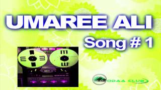 Oromo Music By  Umaree Ali  Nalaali siin laala [upl. by Anawot]