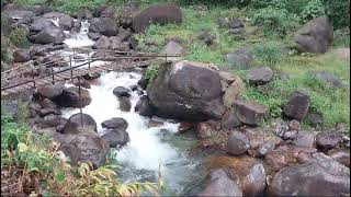 Rongos River side farm stay Jhulong river [upl. by Archy]