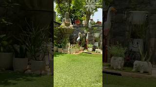 Garden Corner Decoration DIY creativegardening homegarden [upl. by Joktan]