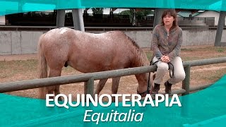 EQUINOTERAPIA 11  Equitalia [upl. by Majka]