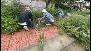 clean up and pick up trash on the sidewalk  pile of bricks in the wrong place [upl. by Dahsar]