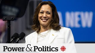 ‘Prophet of presidential elections’ predicts Kamala Harris will win the White House [upl. by Kcin968]