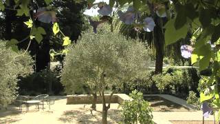 Mediterranean Landscape Design [upl. by Airotahs]