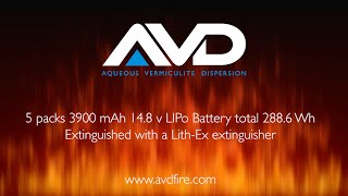 Using an AVD Fire Extinguisher on a Lithium Ion battery pack [upl. by Cord]