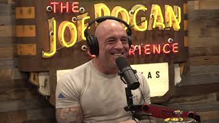 JRE MMA Show 143 with Sean Strickland [upl. by Launce]