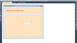 How to use the Open File Dialog Box to select the Picture and Display it in VBNetPart1 [upl. by Ased]