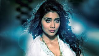 Temper 2  Shriya Saran  South Superhit Action Movie In Hindi  Vikram Ashish Vidyarthi Prabhu [upl. by Kacey]