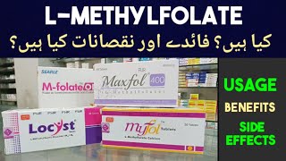 L Methylfolate tablets Uses Benefits amp Side Effects In UrduHindi  Locyst Myfol M folate Maxfol [upl. by Ihcekn]