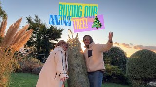 BUYING OUR 2024 CHRISTMAS TREE 🎄 [upl. by Seidel479]