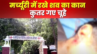 Hamidia Hospital Bhopal  मर्चुरी में रखे शव के कान कुतर गए चूहे  देखिए Video [upl. by Anwahsed632]