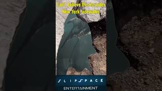 Under New York Sidewalks halomemes shorts gaming halo memes haloinfinite [upl. by Mordecai]