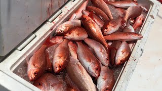 Florida Snapper Fishing on a Charter Boat  Kelley Girl [upl. by Erland]