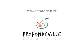 Conseil communal de Profondeville du 21 mars 2022 [upl. by Bran]