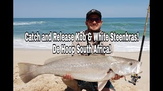 ZLF Fishing De Hoop Part 2  Catching Kob and White Steenbras [upl. by Yliah]