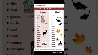 singular and plural nouns Nouns Noun shorts [upl. by Ohare411]