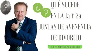 💥¿QUÉ SUCEDE EN LA 1a y 2A JUNTAS DE AVENENCIA DE DIVORCIO💥 [upl. by Aled664]