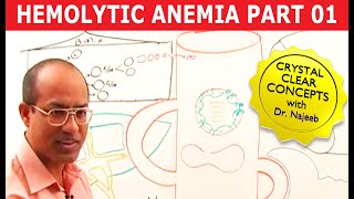 Hemolytic Anemia  Hematology  Part 1🩺 [upl. by Priest]