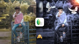 Snapseed Grey And Bird Effect Photo Editing Tricks 🔥  Snapseed Background Colour Change Tutorial [upl. by Wyne591]