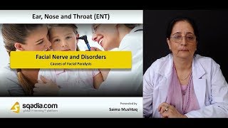 Facial Nerve and Disorders  ENT Video Lecture  Medical VLearning Platform [upl. by Attevad]