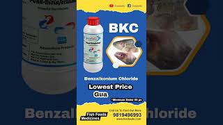 Lowest Price For Benzalkonium Chloride BKC [upl. by Annelise]