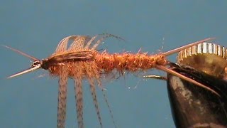 Fly Tying a Brown Stonefly with Jim Misiura [upl. by Ahsilahk]