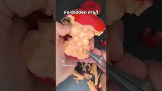 The forbidden Fruit  3dprint support remove [upl. by Gomez976]