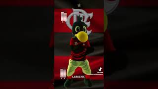 falamosdetudoemaisalgumacoisa flamengo [upl. by Eirrehs]