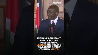 We have abundant highly skilled professional labour and Poland is a labour deficit country  Ruto [upl. by Odetta]