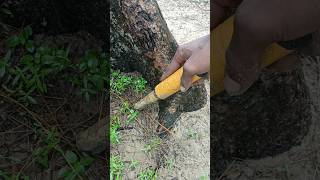 Pinpointer metal detector shorts short youtubeshorts shortvideo metaldetecting treasurehunt [upl. by Nollid786]